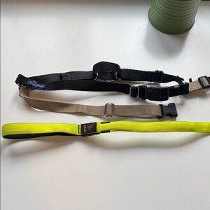 Dog LED glow in dark leash with petsafe harness - size large